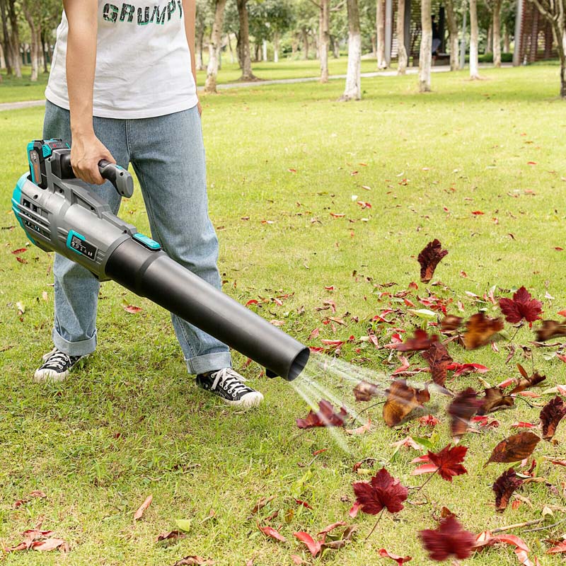 20V Cordless Leaf Blower with Battery & Charger, 5-Speed Electric Blower for Lawn Care, Battery Powered Leaf Blower Lightweight