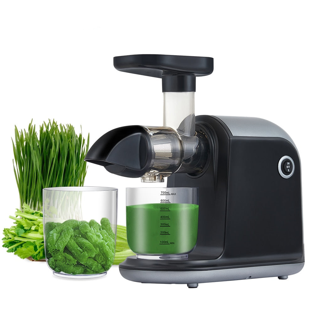 (Store Closing Sale) Slow Masticating Auger Juicer