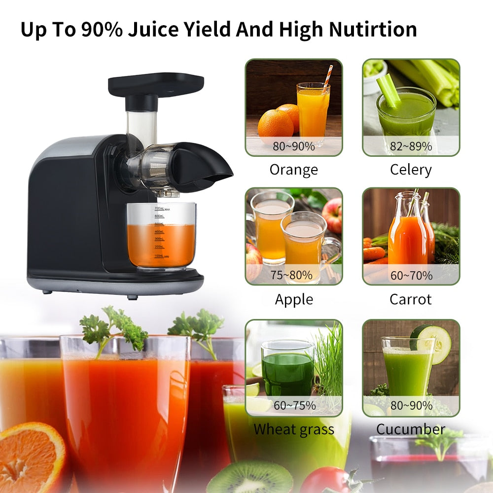 (Store Closing Sale) Slow Masticating Auger Juicer