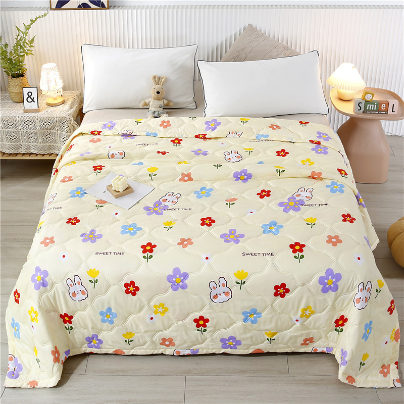 Summer Cartoon Cool Ice Silk Blanket Queen King Size